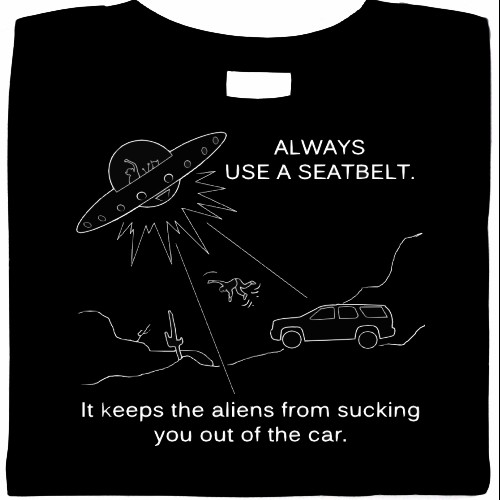 funny seatbelt