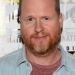 The Everything  Joss Whedon Said in Public At TCA Interview – MARVEL’S AGENTS OF SHIELD