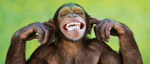 Writing rejection, writing tips, Julie Butcher