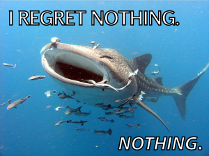 whale shark, whale shark feeding, funny shark meme